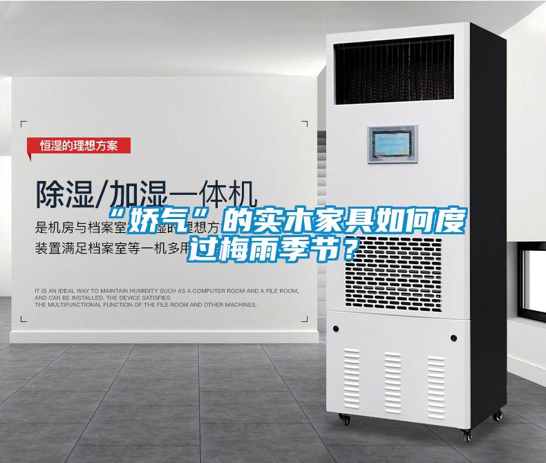 “嬌氣”的實(shí)木家具如何度過梅雨季節(jié)？