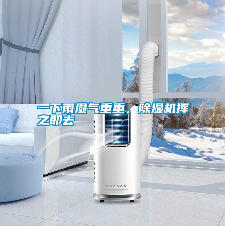 一下雨濕氣重重，除濕機(jī)揮之即去