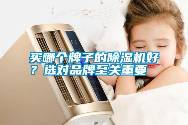 買哪個牌子的除濕機好？選對品牌至關重要