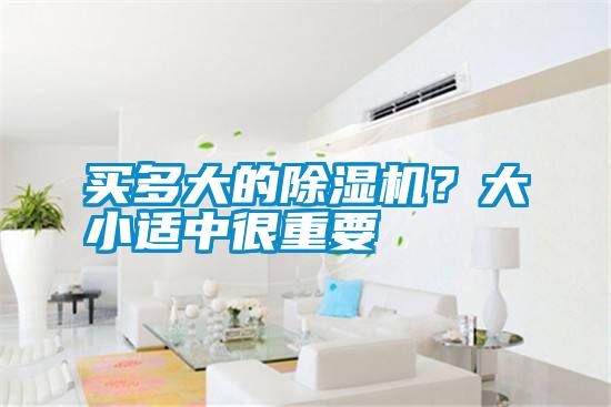 買多大的除濕機？大小適中很重要