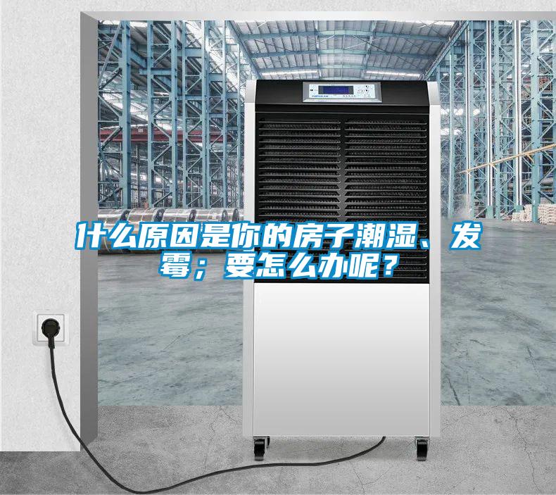 什么原因是你的房子潮濕、發霉；要怎么辦呢？
