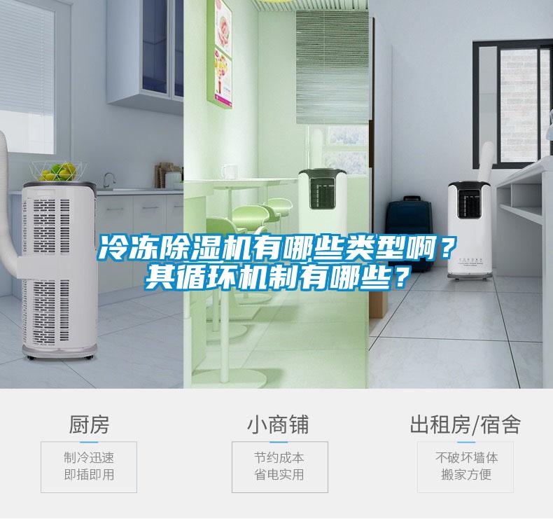 冷凍除濕機有哪些類型?。科溲h(huán)機制有哪些？