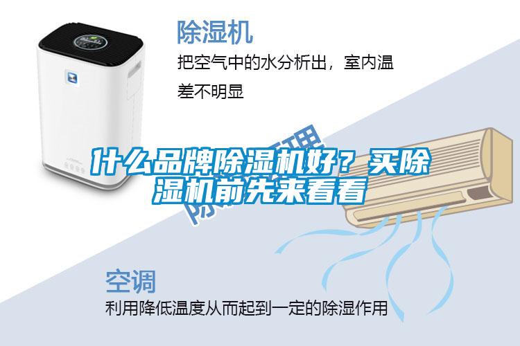 什么品牌除濕機好？買除濕機前先來看看