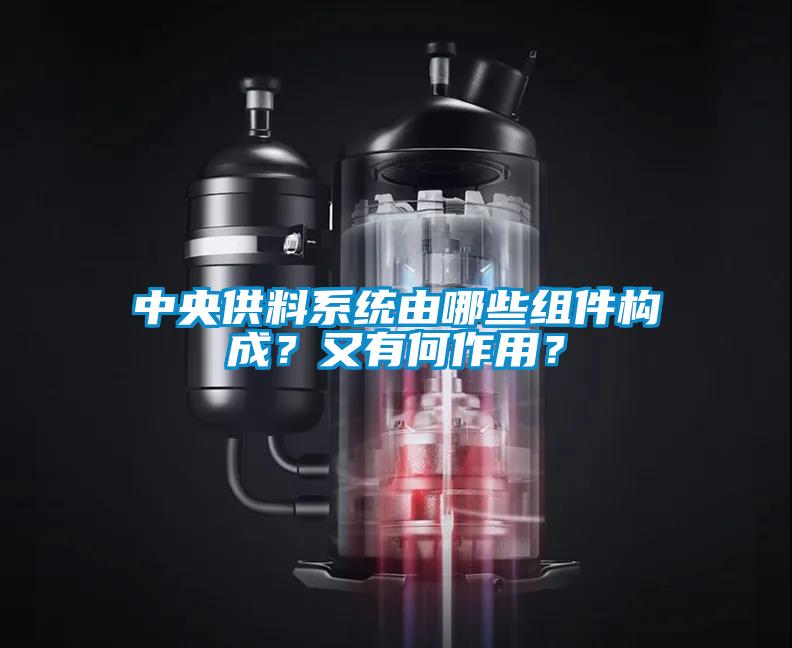 中央供料系統由哪些組件構成？又有何作用？