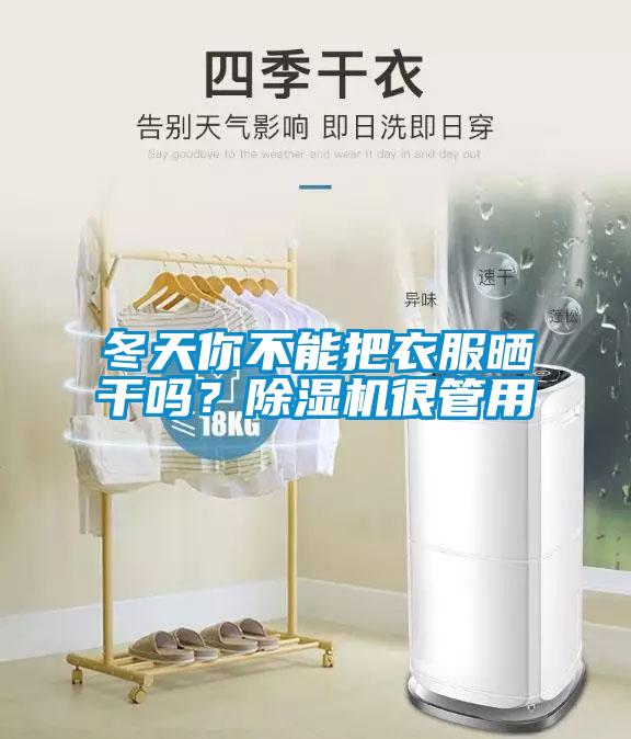 冬天你不能把衣服曬干嗎？除濕機很管用