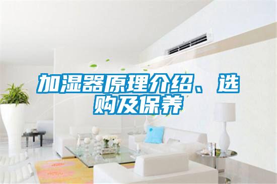加濕器原理介紹、選購(gòu)及保養(yǎng)