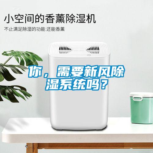你，需要新風除濕系統嗎？