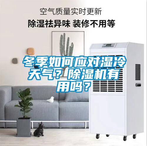 冬季如何應對濕冷天氣？除濕機有用嗎？