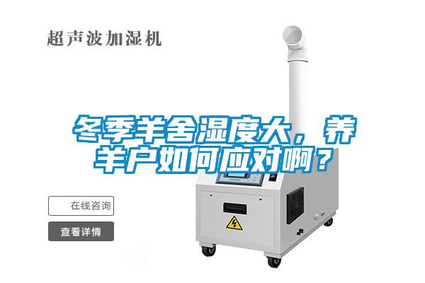 冬季羊舍濕度大，養羊戶如何應對啊？