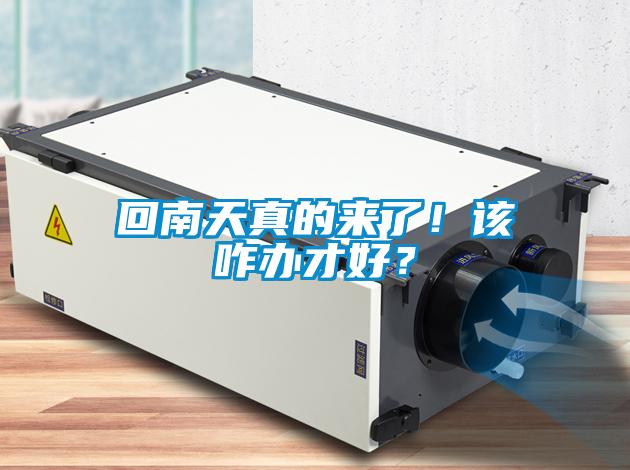 回南天真的來了！該咋辦才好？