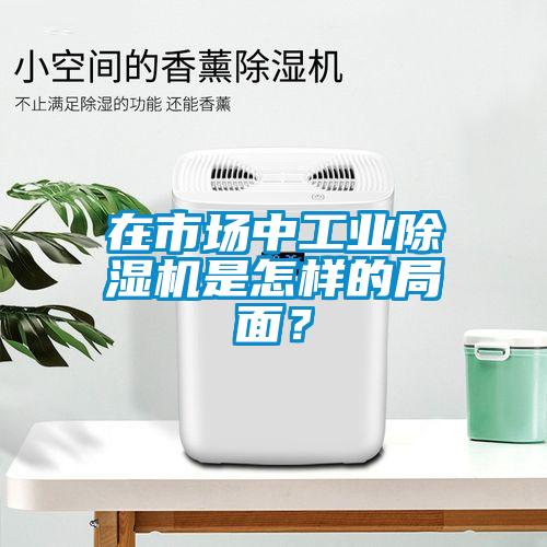 在市場中工業除濕機是怎樣的局面？