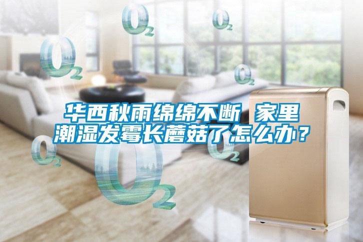 華西秋雨綿綿不斷 家里潮濕發(fā)霉長蘑菇了怎么辦？