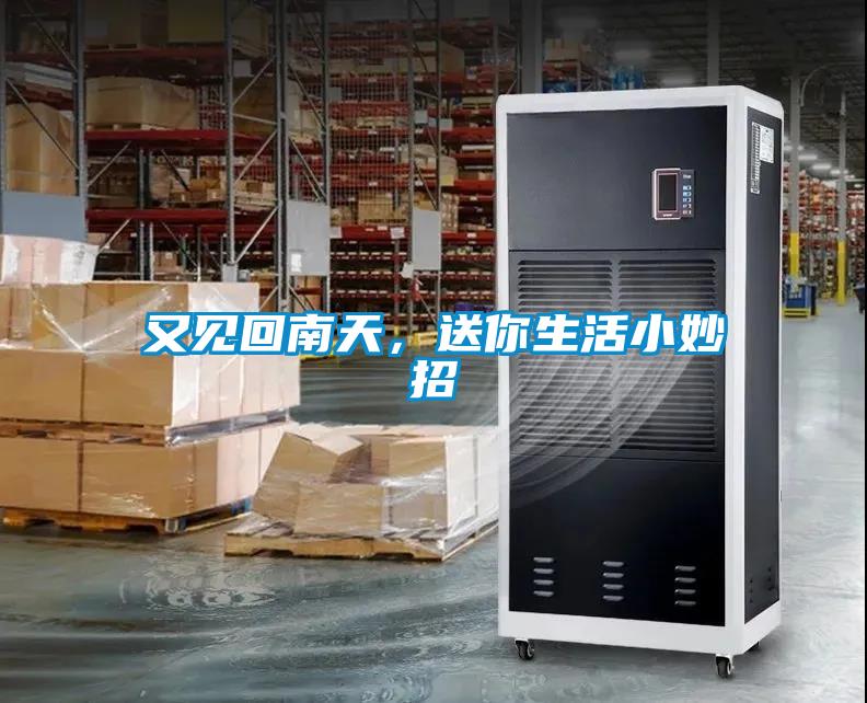 又見回南天，送你生活小妙招
