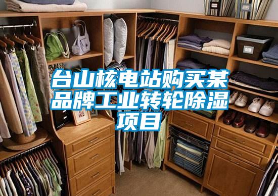 臺山核電站購買某品牌工業(yè)轉輪除濕項目
