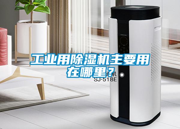 工業用除濕機主要用在哪里？