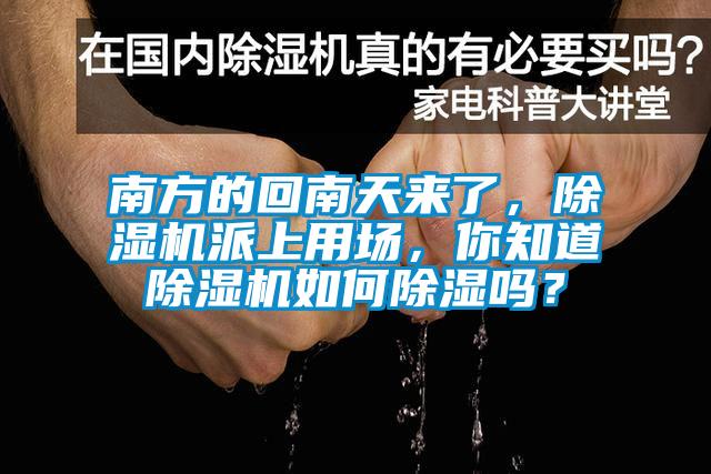 南方的回南天來了，除濕機派上用場，你知道除濕機如何除濕嗎？