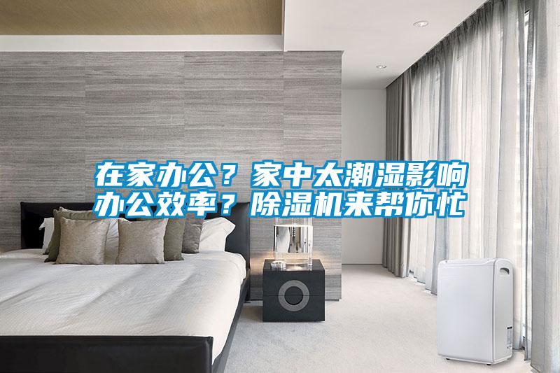 在家辦公？家中太潮濕影響辦公效率？除濕機來幫你忙