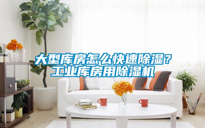 大型庫房怎么快速除濕？工業庫房用除濕機