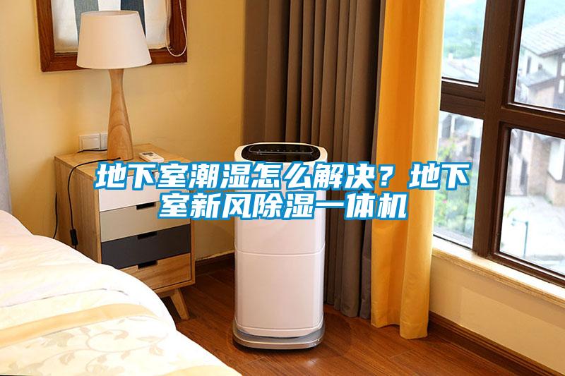 地下室潮濕怎么解決？地下室新風(fēng)除濕一體機