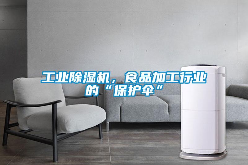 工業除濕機，食品加工行業的“保護傘”