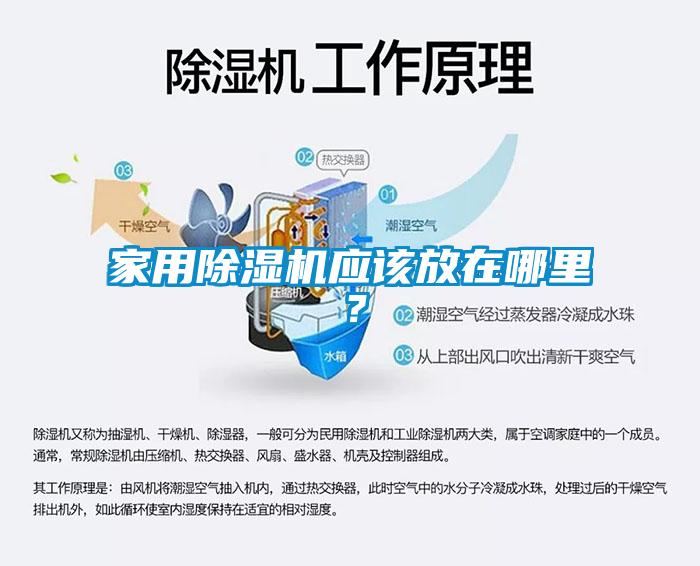 家用除濕機應該放在哪里？