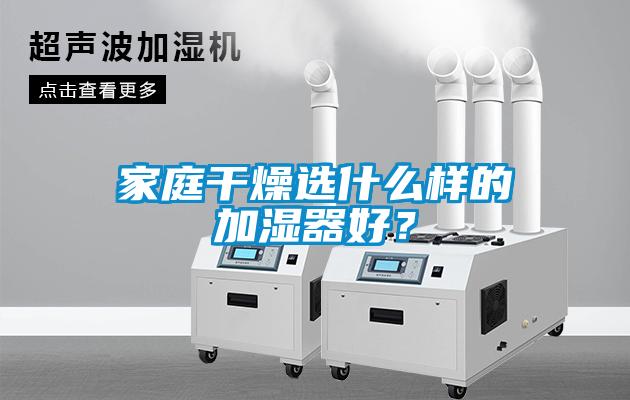 家庭干燥選什么樣的加濕器好？