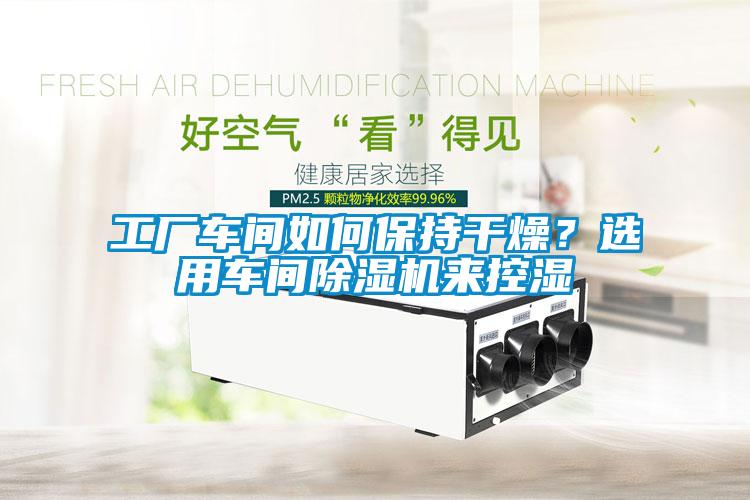 工廠車間如何保持干燥？選用車間除濕機來控濕