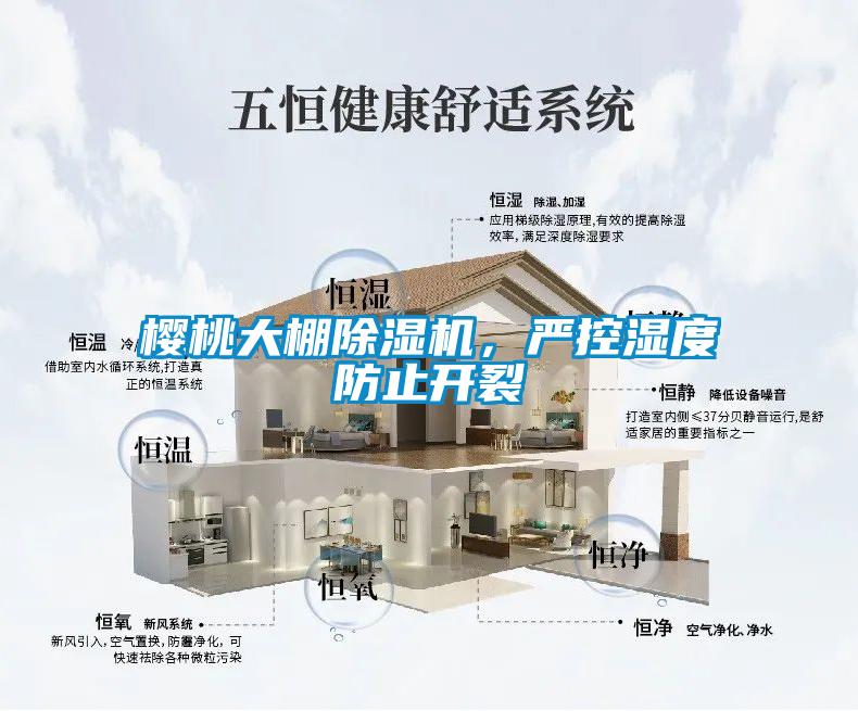 櫻桃大棚除濕機(jī)，嚴(yán)控濕度防止開裂