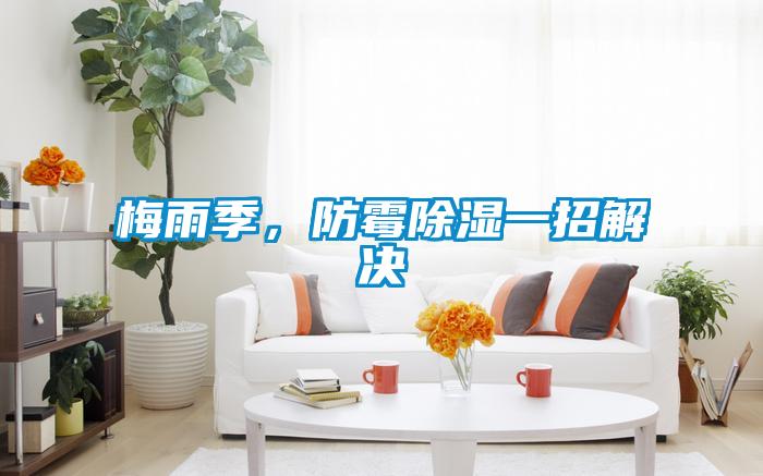 梅雨季，防霉除濕一招解決