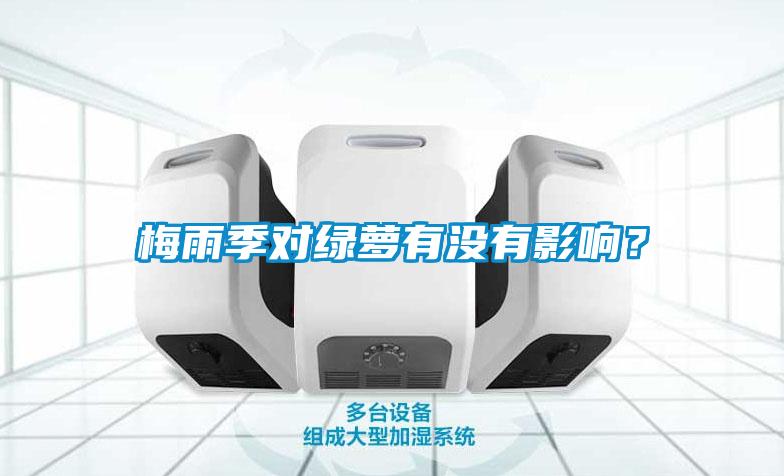 梅雨季對綠蘿有沒有影響？