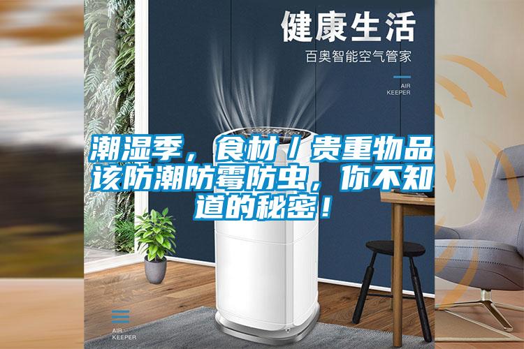 潮濕季，食材／貴重物品該防潮防霉防蟲(chóng)，你不知道的秘密！