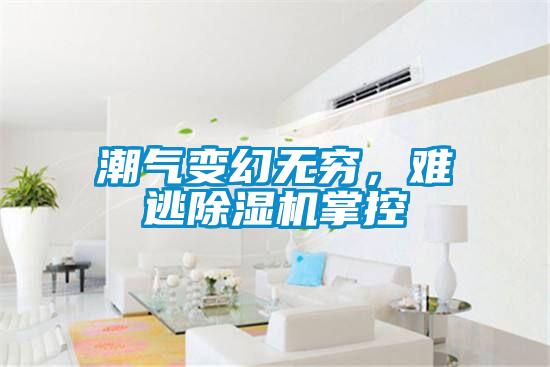 潮氣變幻無窮，難逃除濕機掌控