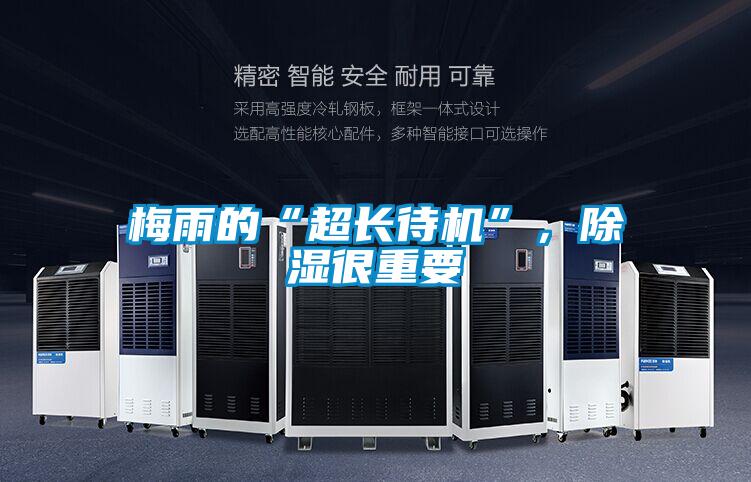 梅雨的“超長待機”，除濕很重要