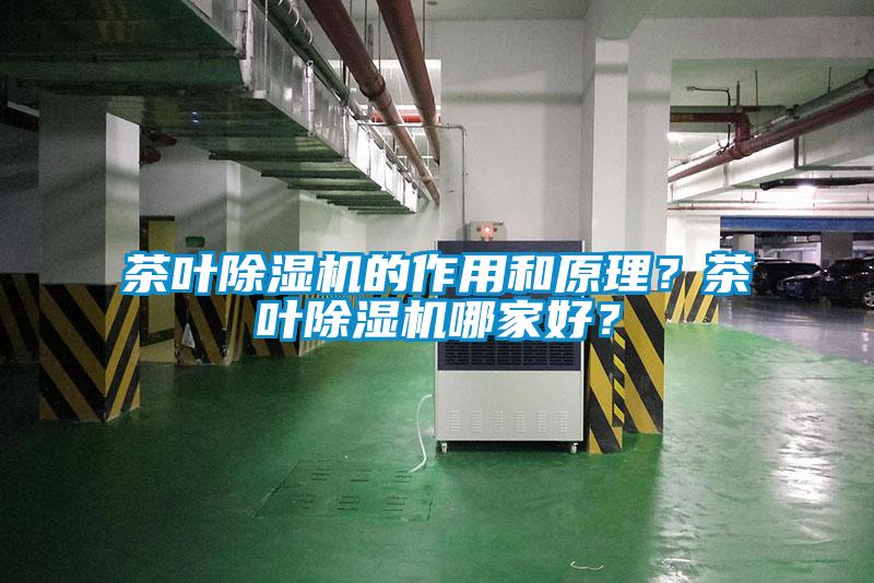 茶葉除濕機的作用和原理？茶葉除濕機哪家好？