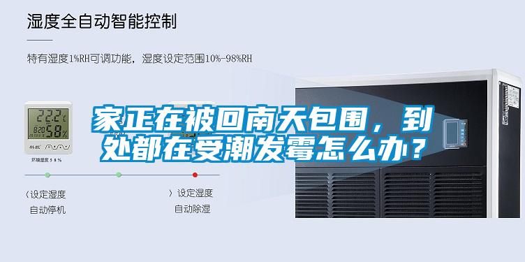 家正在被回南天包圍，到處都在受潮發霉怎么辦？