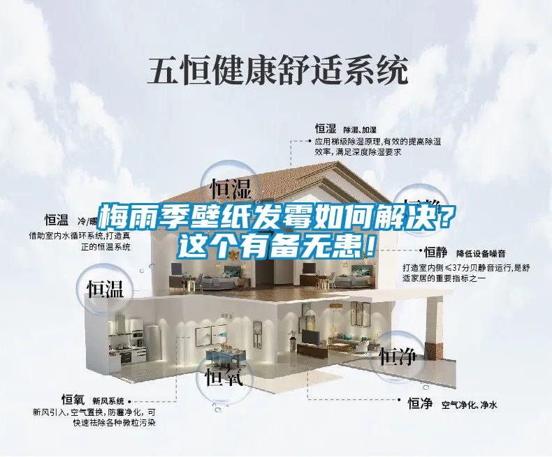 梅雨季壁紙發(fā)霉如何解決？這個(gè)有備無患！