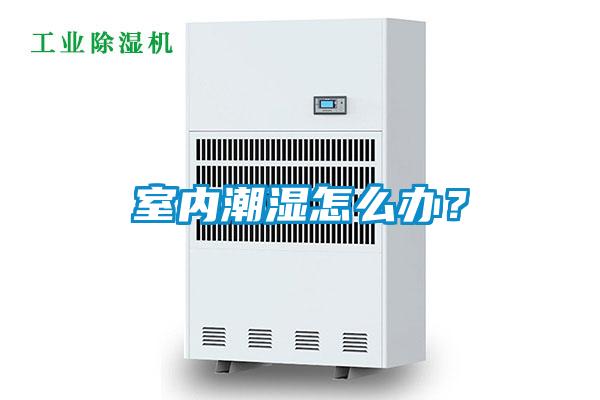 室內潮濕怎么辦？