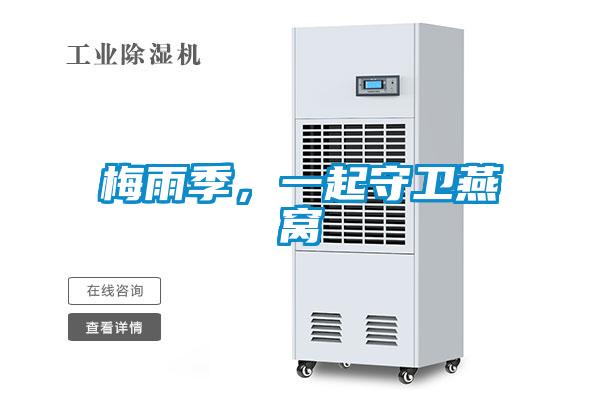 梅雨季，一起守衛(wèi)燕窩
