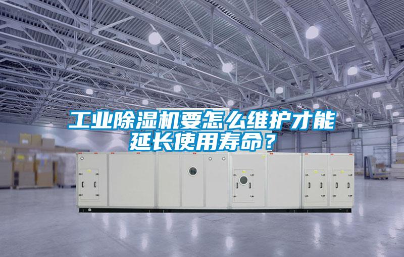 工業除濕機要怎么維護才能延長使用壽命？