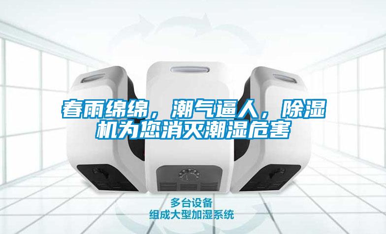 春雨綿綿，潮氣逼人，除濕機為您消滅潮濕危害