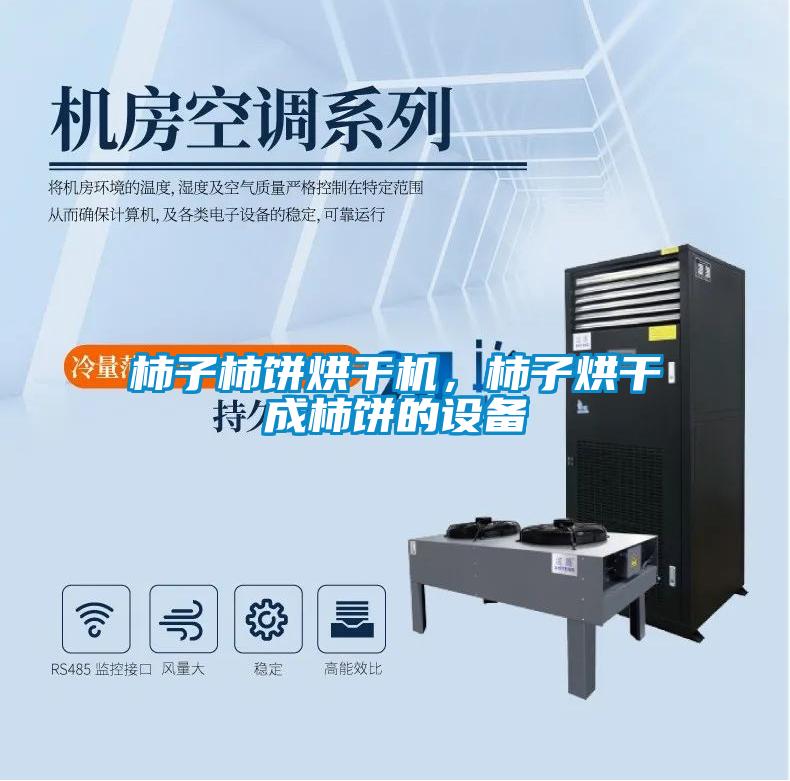 柿子柿餅烘干機，柿子烘干成柿餅的設備