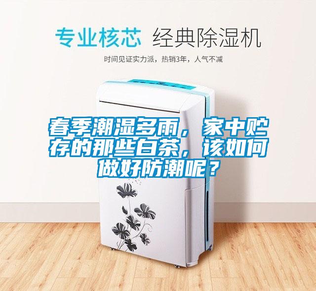 春季潮濕多雨，家中貯存的那些白茶，該如何做好防潮呢？