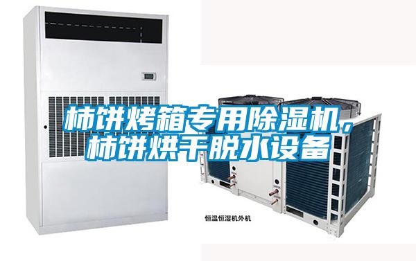 柿餅烤箱專用除濕機(jī)，柿餅烘干脫水設(shè)備