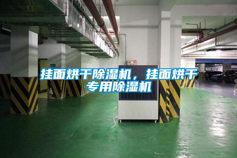 掛面烘干除濕機，掛面烘干專用除濕機