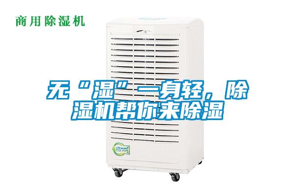 無“濕”一身輕，除濕機幫你來除濕