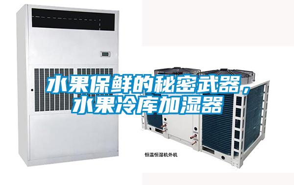 水果保鮮的秘密武器，水果冷庫加濕器