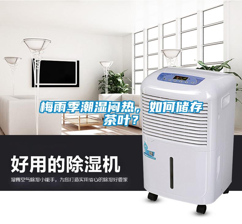 梅雨季潮濕悶熱，如何儲存茶葉？