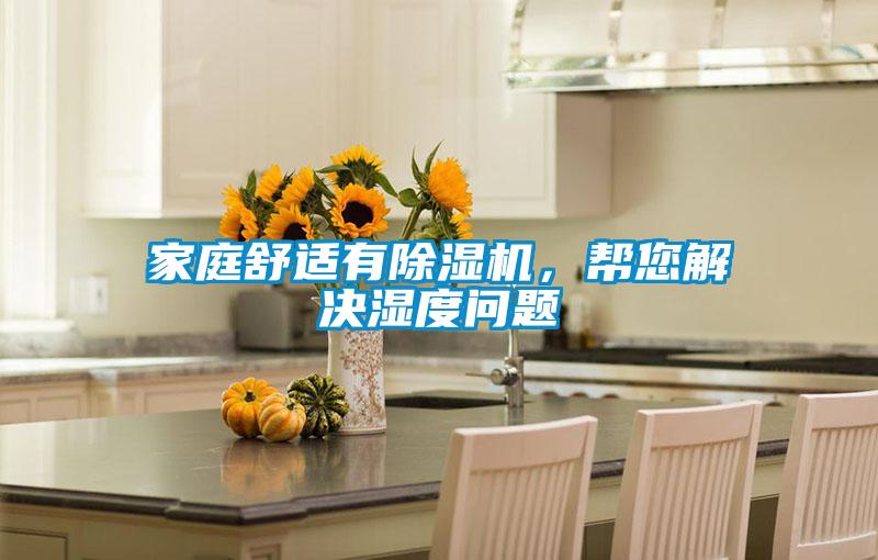 家庭舒適有除濕機，幫您解決濕度問題