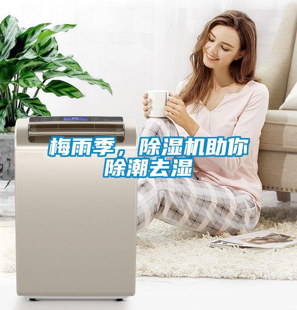 梅雨季，除濕機助你除潮去濕