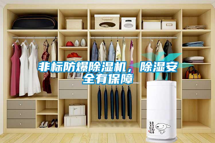 非標防爆除濕機，除濕安全有保障